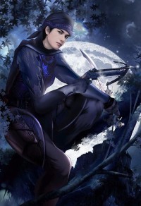 特战兵王(闪烁)