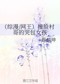 (綜漫同人)(綜漫/網王)撞臉村哥的哭包女孩
