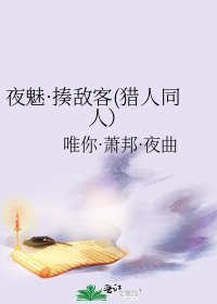 夜魅·揍敵客(獵人同人)